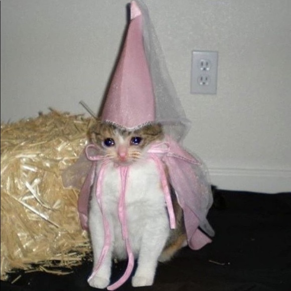 Meet your Posher, Kat - Picture 3 of 7